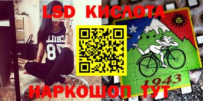 крисы Малгобек