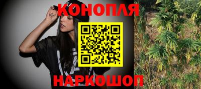 крисы Малгобек