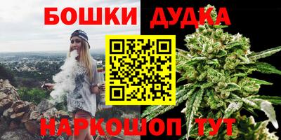 крисы Малгобек