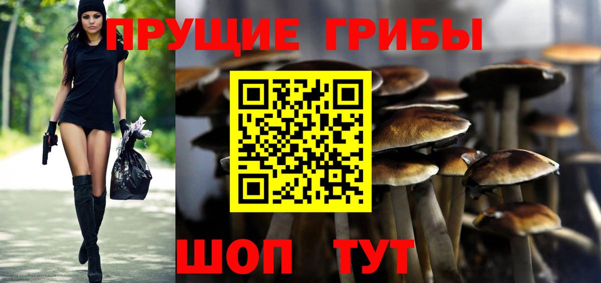 Узловая  Галлюциногенные грибы Psilocybe  Вход с VPN 